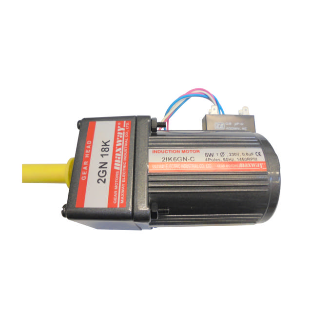 Electric motor, 6 W 220 V, induction motor